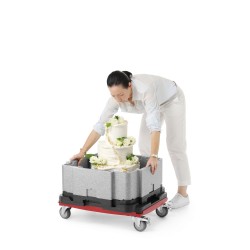 Daugiafunkcinė šilumą izoliuojanti talpykla Cam GoBox, Cambro, Šviesiai pilkas, 641x641x(H)754mm