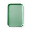 Padėklas 530x325x20mm žalia