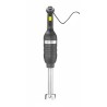Rankinis maišytuvas 350 su kintamu greičiu ir maišymo rankena 300 mm, HENDI, Kitchen Line, Juodas, 230V/350W, ⌀100x716mm