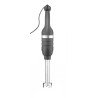 Rankinis maišytuvas 350 su kintamu greičiu ir maišymo rankena 300 mm, HENDI, Kitchen Line, Juodas, 230V/350W, ⌀100x716mm
