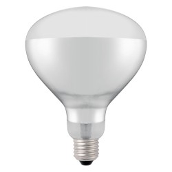 Infraraudonųjų spindulių šilumos lemputė, HENDI, Balta, 230V/250W, ⌀125x(H)170mm