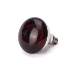 Infraraudonųjų spindulių šilumos lemputė, HENDI, Raudona, 230V/250W, ⌀125x(H)170mm