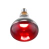 Infraraudonųjų spindulių šilumos lemputė, HENDI, Raudona, 230V/250W, ⌀125x(H)170mm