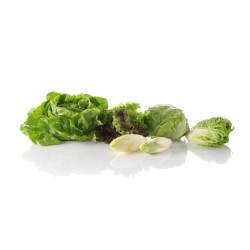 Salotų džiovyklė, HENDI, 12L, Žalia, ⌀335x(H)430mm
