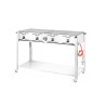 Dujinis grilis Grill-Master Quattro, HENDI, 22kW, 1330x600x(H)920mm