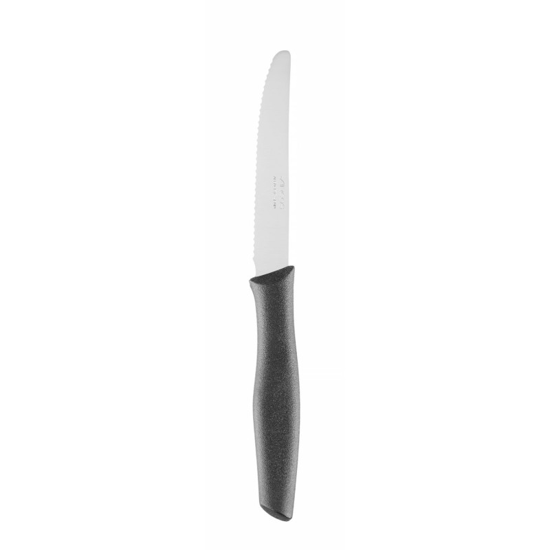 Stalo peilis, dantytas, NOVA serija, Arcos, NOVA, Juodas, (L)220mm