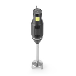 Blenderis su trynimo antgaliu 250W l-200mm