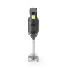 Blenderis su trynimo antgaliu 250W l-200mm