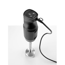 Blenderis su trynimo antgaliu 250W l-200mm