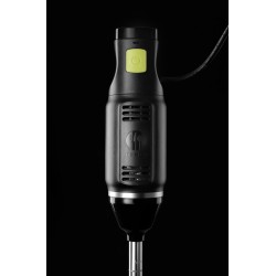 Blenderis su trynimo antgaliu 250W l-200mm
