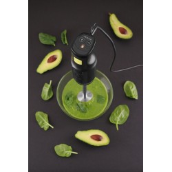 Blenderis su trynimo antgaliu 250W l-200mm