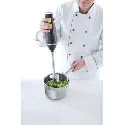 Blenderis su trynimo antgaliu 250W l-200mm