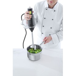 Blenderis su trynimo antgaliu 250W l-200mm