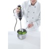 Blenderis su trynimo antgaliu 250W l-200mm