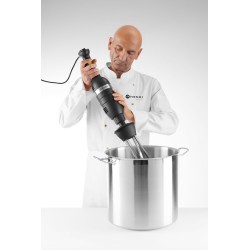Blenderis su trynimo ir plakimo antgaliais 350W