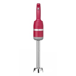 Blenderis su trynimo antgaliu Profi line 250W l-250mm