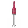 Blenderis su trynimo antgaliu Profi line 250W l-250mm