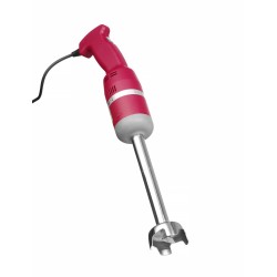 Blenderis su trynimo antgaliu Profi line 250W l-250mm