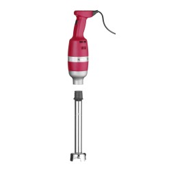 Blenderis su trynimo antgaliu Profi line 300W l-300mm