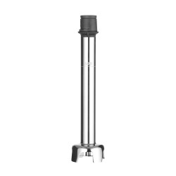 Blenderis su trynimo antgaliu Profi line 300W l-300mm