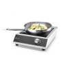 Viryklė indukcinė Cooker 3500 vienguba