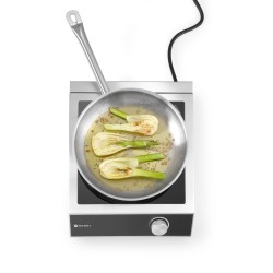 Viryklė indukcinė Cooker 3500 vienguba