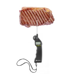 Termometras su sulankstomu zondu -50°C/+300°C