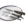 Peilis didkepsniams – rinkinyje 6 vnt., Ove, 6 vnt., (L)240mm