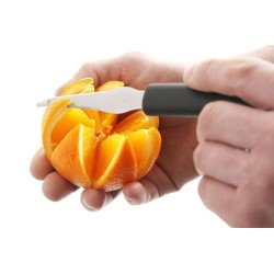 Peilis citrusinių vaisių žievelei lupti, HENDI, Juodas, (L)175mm