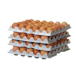 Padėklas kiaušiniams 291x288x41mm (4vnt. rinkinys)
